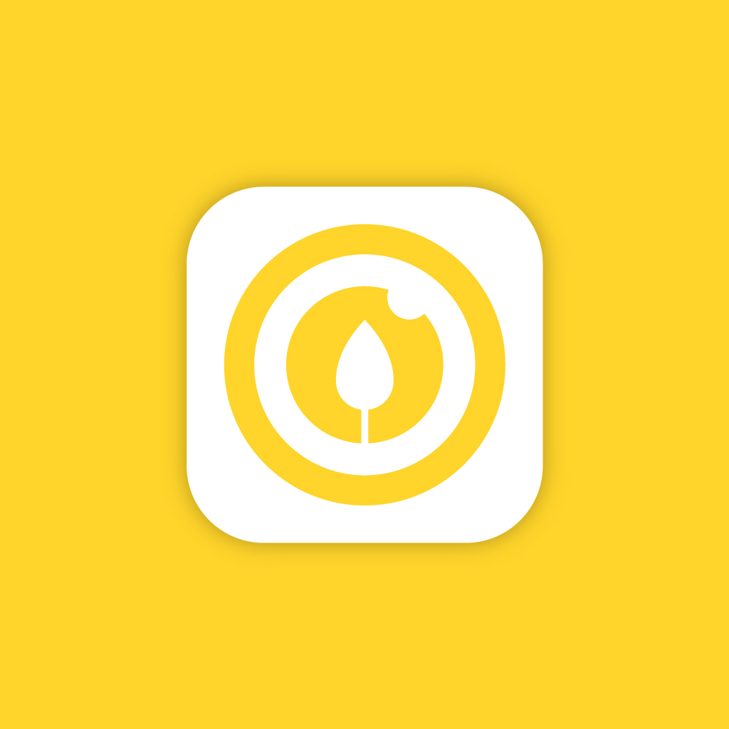 Zenobee — visuel 4, Djan Studio